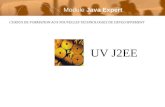 CURSUS DE FORMATION AUX NOUVELLES TECHNOLOGIES DE DEVELOPPEMENT UV J2EE Module Java Expert.