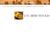 CURSUS DE FORMATION AUX NOUVELLES TECHNOLOGIES DE DEVELOPPEMENT UV IBM WSAD Module WSAD.