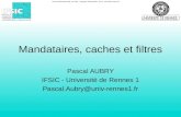 Cours d'administration Web - juin 2001 - Copyright© Pascal AUBRY - IFSIC - Université de Rennes 1 Mandataires, caches et filtres Pascal AUBRY IFSIC - Université