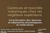 Carences et toxicités métalliques chez les végétaux supérieurs Caractérisation des réponses et adaptations physiologiques et moléculaires Antoine Gravot.