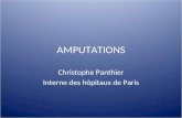 AMPUTATIONS Christophe Panthier Interne des hôpitaux de Paris.