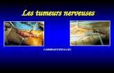 Les tumeurs nerveuses C. CHANTELOT (CHRU de Lille)