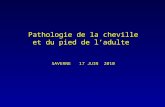 Pathologie de la cheville et du pied de ladulte SAVERNE 17 JUIN 2010.