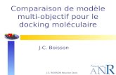 Comparaison de modèle multi- objectif pour le docking moléculaire J-C. Boisson J-C. BOISSON Réunion Dock.