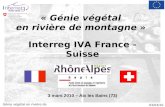 03/03/10 Génie végétal en rivière de montagne « Génie végétal en rivière de montagne » Interreg IVA France - Suisse 3 mars 2010 – Aix les Bains (73)