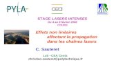 CS 1 Stage Lasers Intenses 2008 STAGE LASERS INTENSES Du 4 au 8 février 2008 COURS Effets non linéaires affectant la propagation dans les chaînes lasers.