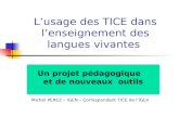 Lusage des TICE dans lenseignement des langues vivantes Un projet pédagogique et de nouveaux outils Michel PEREZ – IGEN – Correspondant TICE de lIGLV.