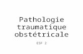 Pathologie traumatique obstétricale ESF 2. Le crâne Céphalhématome Bosse sérosanguine Dolichocéphalie Fractures Embarrures.