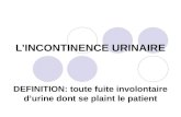 LINCONTINENCE URINAIRE DEFINITION: toute fuite involontaire durine dont se plaint le patient.