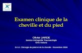 Examen clinique de la cheville et du pied Olivier JARDE Service Orthopédie Traumatologie CHU Amiens D.I.U. Chirurgie du pied et de la cheville - Novembre.