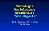 Sémiologie Radiologique Abdominale: Tube digestif Dr B. Bessoud, Dr C. Phan CHU Bicêtre