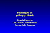 Pathologies en pédo-psychiatrie Romain Dugravier CHU Bichat-Claude Bernard Service du Pr Guedeney.