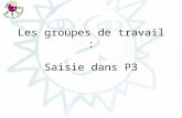 Les groupes de travail : Saisie dans P3. Préambule Définition du groupe Ce groupe a pour mission décrire des consignes régionales de saisie complémentaires.