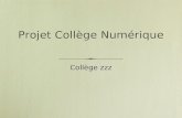 Projet Collège Numérique Collège zzz. Un projet numérique détablissement Un engagement réel de lensemble des acteurs de létablissement Dynamisme des Professeurs.