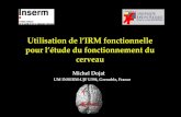 Utilisation de lIRM fonctionnelle pour létude du fonctionnement du cerveau Michel Dojat UM INSERM-UJF U594, Grenoble, France.