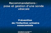 IFSI/CHIBT-UE 2.8.S3- PROMOTION 2010/2013 A.MAUHIN 1 Recommandations : pose et gestion dune sonde v©sicale Pr©vention de l'infection urinaire nosocomiale