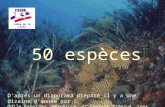 1 CoDep de la Loire Commission biologie 50 espèces Daprès un diaporama préparé il y a une dizaine dannée par : Odile Faverjon, Véronique et Laurent Trémaud,