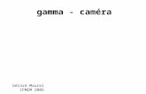 Gérard Maurel IFMEM 2006 gamma - caméra Plan I introduction II historique : scintigraphe à balayage III principe de la gamma-caméra IV modes dacquisition.