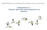 – Séquence 2 – Savoir décrire précisément un oiseau Afrique sahélienne Identification et comptage des oiseaux deau en Afrique 1.