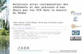 Relations entre contamination des sédiments et des poissons deau douce par les PCB dans le bassin du Rhône Marc Babut, Cécile Miège, Annie Roy, Christelle.