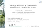 Nature et chroniques de contamination des sédiments et relation aux sources Gwénaelle Roux & TSIP members M. Desmet – Université François Rabelais, Tours.