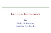 Les flores bactériennes Ba Ecole dinfirmières Hôpital de Rambouillet.