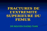 FRACTURES DE LEXTREMITE SUPERIEURE DU FEMUR DR NGUYEN DUONG TUAN.