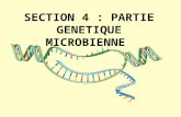 SECTION 4 : PARTIE GENETIQUE MICROBIENNE. En relation avec le module de « Biologie moléculaire et génie génétique ». INTITULE DU PROGRAMME COMMENTAIRES