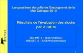 1 Langoustines du golfe de Gascogne et de la Mer Celtique 2010 Résultats de lévaluation des stocks par le CIEM WGHMM : 5 – 12/05/10 (Bilbao) WGCSE : 13.