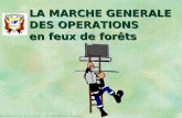 LA MARCHE GENERALE DES OPERATIONS en feux de forêts Document du S.D.I.S - C.I..S.A 34 / Ltn J.BO / Mention obligatoire.
