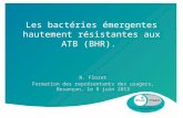 Les bactéries émergentes hautement résistantes aux ATB (BHR). N. Floret Formation des représentants des usagers, Besançon, le 8 juin 2013.