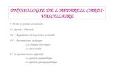 PHYSIOLOGIE DE LAPPAREIL CARDI-VASCULAIRE I- Petite et grande circulation II- Systole / Diastole III – Régulation de la pression artérielle IV – Automatisme.