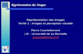 Laboratoire dInformatique et dImagerie Industrielle Représentation des Images Partie 1 : Images et perception visuelle Pierre Courtellemont L3i – Université