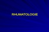 RHUMATOLOGIE. PRINCIPES « Rhumatismale »: tout ce qui est relatif à la rhumatologie (mot générique). Tout ce qui est en « OSE » relatif à la pathologie.