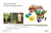 La démarche RSE de SIFCA Juin 2013 © SIFCA SA All rights reserved. Un acteur majeur de lagro-industrie en Afrique de louest Démarche RSE : le cas du groupe.