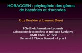 HOBACGEN : phylogénie des gènes de bactéries et darchées Guy Perrière et Laurent Duret Pôle Bioinformatique Lyonnais Laboratoire de Biométrie et Biologie.