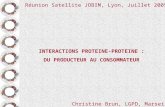 INTERACTIONS PROTEINE-PROTEINE : DU PRODUCTEUR AU CONSOMMATEUR Christine Brun, LGPD, Marseille Réunion Satellite JOBIM, Lyon, Juillet 2005.