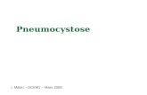 Pneumocystose L Millon – DCEM1 – Mars 2009. Définition, agent pathogène Maladie opportuniste due à linfection par Pneumocystis carinii Première complication.