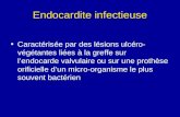 Endocardite infectieuse Caractérisée par des lésions ulcéro- végétantes liées à la greffe sur lendocarde valvulaire ou sur une prothèse orificielle dun.