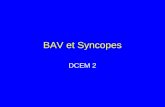 BAV et Syncopes DCEM 2. Anatomie des voies de conduction.