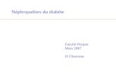 Néphropathies du diabète Faculté Purpan Mars 2007 D Chauveau