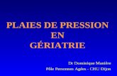 PLAIES DE PRESSION EN GÉRIATRIE Dr Dominique Manière Pôle Personnes Agées - CHU Dijon.