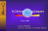 Dr Michel BREGIGEON service de neurologie, HIA LAVERAN, MARSEILLE Sclérose en plaques Cours 2005.