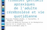 Troubles gestuels apraxiques de ladulte cérébrolésé et vie quotidienne Pascale Pradat-Diehl, C Taillefer, H Migeot, A Galland Service de Médecine Physique.
