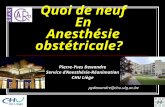 Quoi de neuf En Anesthésie obstétricale? Pierre-Yves Dewandre Service dAnesthésie-Réanimation CHU Liège pydewandre@chu.ulg.ac.be.
