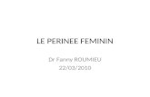 LE PERINEE FEMININ Dr Fanny ROUMIEU 22/03/2010. Introduction Ensemble des parties molles fermant en bas lexcavation pelvienne Limites constituées par.
