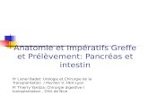 Anatomie et Impératifs Greffe et Prélèvement: Pancréas et intestin Pr Lionel Badet: Urologie et Chirurgie de la Transplantation / Pavillon V, HEH Lyon.