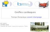 Greffes cardiaques Temps thoracique avant clampage M. LAALI, EFPMO 2010 Institute de coure, Hôpital Pitié-Salpêtrière, Paris.