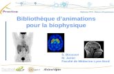Bibliothèque danimations pour la biophysique S. Boussen M. Janier Faculté de Médecine Lyon-Nord.