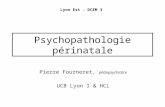 Psychopathologie périnatale Pierre Fourneret, pédopsychiatre UCB Lyon I & HCL Lyon Est - DCEM 3.